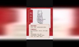 养生之道爆料视频大全集,视频大全集精华汇总